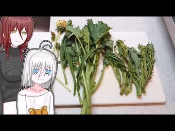 春の草
