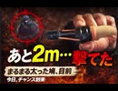 今日、まるまる太った鳩を射ることができそうでした。2メートルまで近寄ってきたので矢タイプポケットショットは備蓄を補う手軽な狩猟方法です　猟銃は10年かかるとか　大きい音はデメリットかと