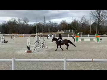 フェリオくん！スプリングホースショー②