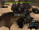 【MHP2G】ヘビィボウガンで双璧！黒き熱風