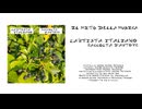 L'Artista Italiano - Il Mito della Musica