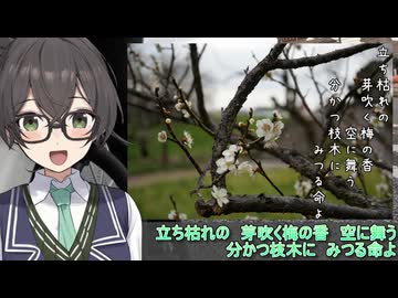 おばいくととと『#78　趣味が生えた』【手抜き車載祭】