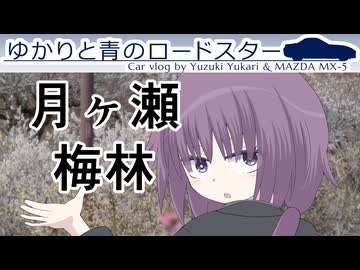 55｜月ヶ瀬梅林｜ゆかりと青のロードスター