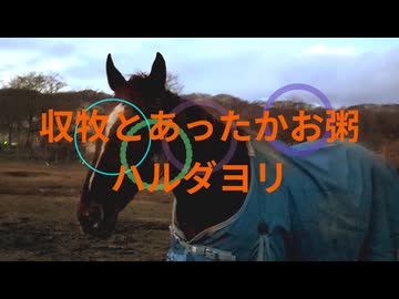 収牧とあったかお粥　ハルダヨリ