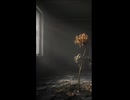 StonedMilkBye - In a dark room