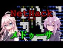NetHackerゆかいあ【挑戦2回目・その9】