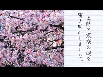 【2026年春の特別企画】去年の春企画動画（ニコニコ版）のコメントにあった謎解きを兼ねて上野の寒桜を見に行ってきた（第７話）