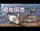 【火山で出来た池】藺牟田池＠鹿児島県薩摩川内市