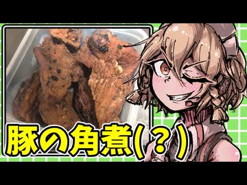 想像で作った豚の角煮です。【ナースロボ タイプＴ】