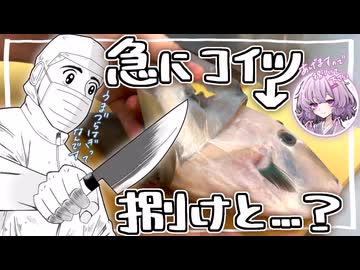 【うまづらはぎ】を捌かされてみた