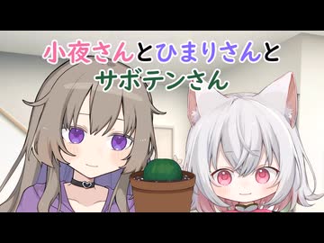 小夜さんとひまりさんとサボテンさん