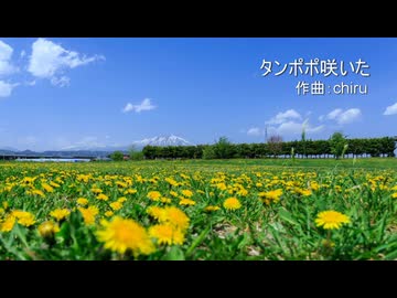 【素材BGM】 春のおだやか散歩 「タンポポ咲いた」【フル×２】