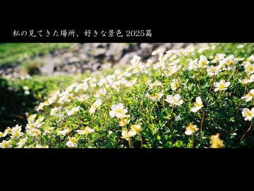 私の見てきた場所、好きな景色 2025篇