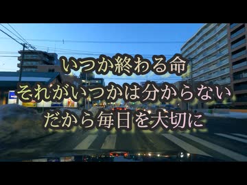 『ﾀﾋ』は悲しい事じゃない！今世の役目を終え次のステージへ昇るのだから...