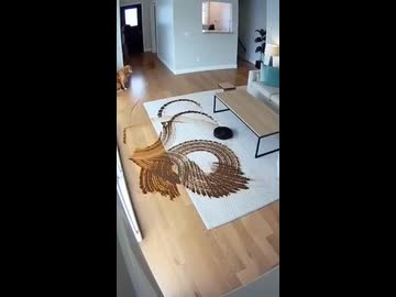 ホモと見る犬の糞を掃除するルンバ