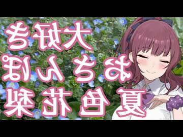大好きおさんぽ夏色花梨