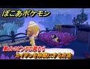 ぽこあポケモン　カイデンを仲間にする方法　高台のピンクの草むら　＃２７４　【ぽこポケ】