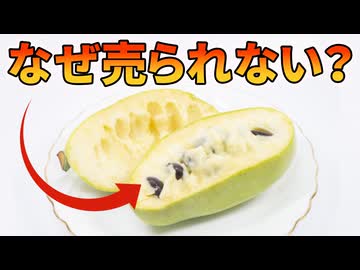 カスタード級に甘い果物ポポーがスーパーに並ばない理由【解説動画】