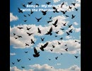 Somgs- My order #2 “with a Phantom Wings”