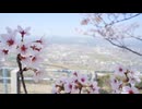 春の訪れとともに｜米田健太郎が感じる穏やかな時間