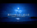 【音散歩】満月の夜の海と波の音 - 深く響く太平洋の砂浜