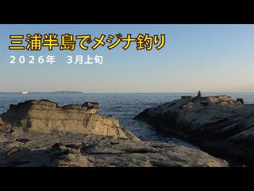 三浦半島でメジナ釣り　2026年 3月上旬