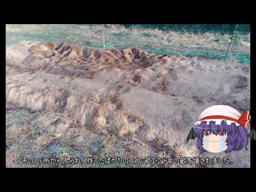 ゆっくり農民281畑を拓いてみませんか？#48