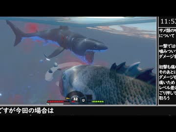 Feed and Grow Fish ホホジロザメ撃破RTA【12:09.92】