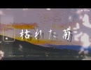 枯れた菊／初音ミクショートリリックビデオ