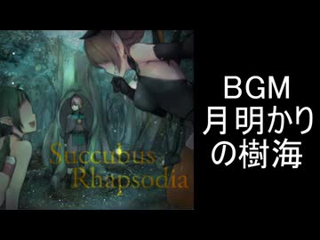 【サキュバスラプソディア】BGM-月明かりの樹海
