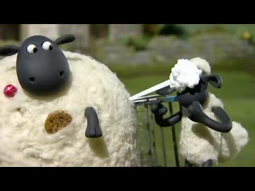 Shape Up With Shaun