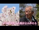 「ボロボロだけど若々しい」桜を救う樹木医の技　樹齢90年の再生から街路樹の診断まで　「きれい」と「安全」を守る舞台裏