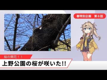 【2026年春の特別企画】ついに東京で桜が咲いたぞ!!（第８話）