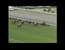 1988 中日スポーツ賞４歳Ｓ　サッカーボーイ