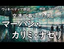 【ｳｨｷﾍﾟﾃﾞｨｱ朗読】 マーハン・カリミ・ナセリ 【空港に居住した人物】　雑学　教養