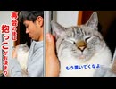 飼い主と再会後、甘えん坊モードが止まらない猫がかわいすぎた