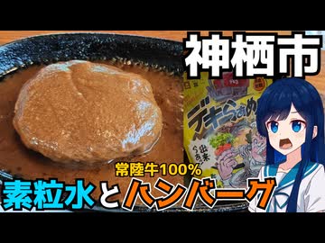 【車載】茨城県神栖に常陸牛100％のハンバーグドライブ【茨城県のグルメ】