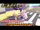 ぽこあポケモン　デカヌおやかたのおねがいごと　全部の街のポケセンに行く　＃２９４　【ぽこポケ】