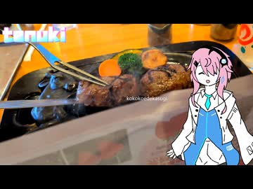 【毎月21日はフィーちゃんの日】フィーちゃんのマスツーな休日ふぃ【手抜き車載祭】