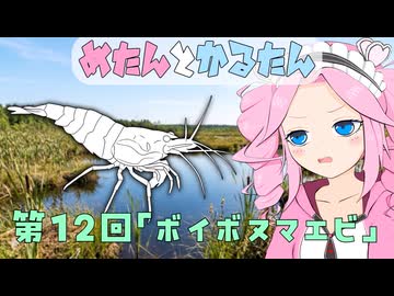 めたんとかるたん12話『ボイボヌマエビ』【VOICEVOX】