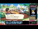 【RTA】あつまれどうぶつの森 ハッピーホームパラダイス 1時間40分43秒 Part2/3【新事業はマッチングサービス】