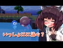 【ぽこあポケモン】きりたんと初めてのぽこポケ図鑑　その20【東北きりたん】