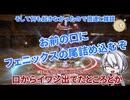 【刀剣乱舞偽実況】国広がマスクカーニバル（+お礼）【FF14】