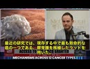 抗寄生虫薬のイベルメクチンとフェンベンダゾールが、ステージ4のがんを完全寛解させた事例が、複数の論文で報告されているんです