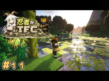 【Minecraft】忍者がTFC # 11【TerraFirmaCraft】