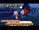 ぽこあポケモン　ウルガモスを仲間にする方法　木かげのゆうがな花畑　＃３１４　【ぽこポケ】