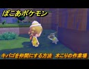 ぽこあポケモン　キバゴを仲間にする方法　木こりの作業場　＃３２０　【ぽこポケ】
