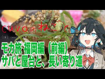 モカ旅福岡編（前編）：サバと屋台と、長い寄り道（宮舞モカ:cuvoのねごと）