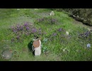 【てきとなゲーム】普通に楽しんでるだけ！プレイ動画その210