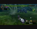 【MHP2G】ハンマーでナルガクルガ-1